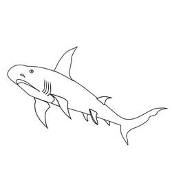Dessin à colorier: Requin (Animaux) #14882 - Coloriages à Imprimer Gratuits
