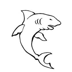 Dessin à colorier: Requin (Animaux) #14890 - Coloriages à Imprimer Gratuits