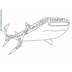 Dessin à colorier: Requin (Animaux) #14905 - Coloriages à Imprimer Gratuits
