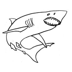 Dessin à colorier: Requin (Animaux) #14911 - Coloriages à Imprimer Gratuits