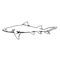 Dessin à colorier: Requin (Animaux) #14920 - Coloriages à Imprimer Gratuits