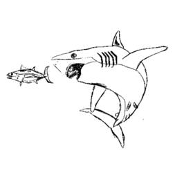 Dessin à colorier: Requin (Animaux) #14921 - Coloriages à Imprimer Gratuits