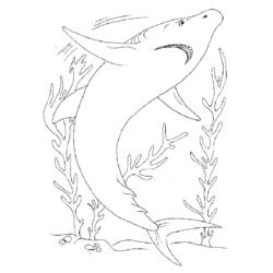 Dessin à colorier: Requin (Animaux) #14927 - Coloriages à Imprimer Gratuits