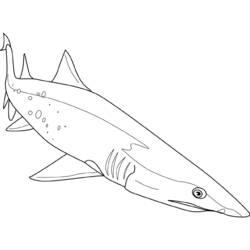 Dessin à colorier: Requin (Animaux) #14949 - Coloriages à Imprimer Gratuits