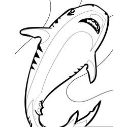 Dessin à colorier: Requin (Animaux) #14955 - Coloriages à Imprimer Gratuits
