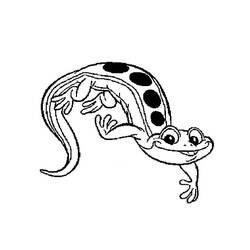 Dessin à colorier: Salamandre (Animaux) #19891 - Coloriages à Imprimer Gratuits