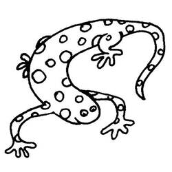 Dessin à colorier: Salamandre (Animaux) #19895 - Coloriages à Imprimer Gratuits