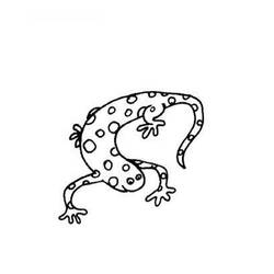 Dessin à colorier: Salamandre (Animaux) #19905 - Coloriages à Imprimer Gratuits