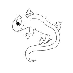 Dessin à colorier: Salamandre (Animaux) #19906 - Coloriages à Imprimer Gratuits