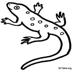Dessin à colorier: Salamandre (Animaux) #19911 - Coloriages à Imprimer Gratuits