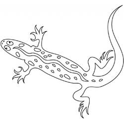 Dessin à colorier: Salamandre (Animaux) #19930 - Coloriages à Imprimer Gratuits