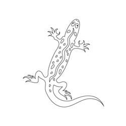 Dessin à colorier: Salamandre (Animaux) #19946 - Coloriages à Imprimer Gratuits