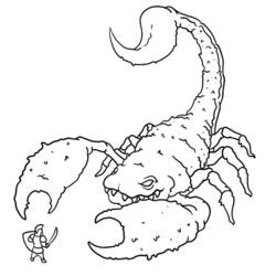Dessin à colorier: Scorpion (Animaux) #14537 - Coloriages à Imprimer Gratuits