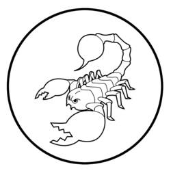 Dessin à colorier: Scorpion (Animaux) #14542 - Coloriages à Imprimer Gratuits