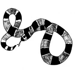 Dessin à colorier: Serpent (Animaux) #14426 - Coloriages à Imprimer Gratuits