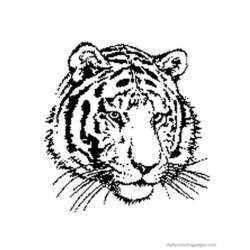 Dessin à colorier: Tigre (Animaux) #13592 - Coloriages à Imprimer Gratuits