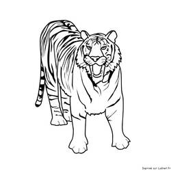 Dessin à colorier: Tigre (Animaux) #13595 - Coloriages à Imprimer Gratuits