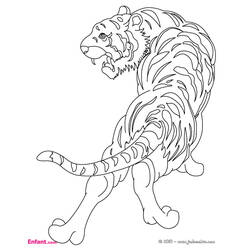 Dessin à colorier: Tigre (Animaux) #13600 - Coloriages à Imprimer Gratuits