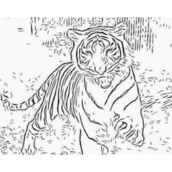 Dessin à colorier: Tigre (Animaux) #13606 - Coloriages à Imprimer Gratuits