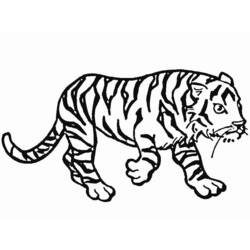 Dessin à colorier: Tigre (Animaux) #13629 - Coloriages à Imprimer Gratuits