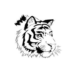 Dessin à colorier: Tigre (Animaux) #13631 - Coloriages à Imprimer Gratuits