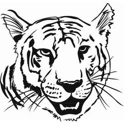 Dessin à colorier: Tigre (Animaux) #13666 - Coloriages à Imprimer Gratuits