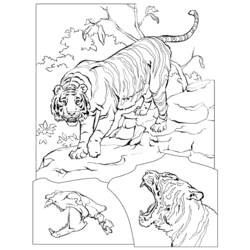 Dessin à colorier: Tigre (Animaux) #13683 - Coloriages à Imprimer Gratuits