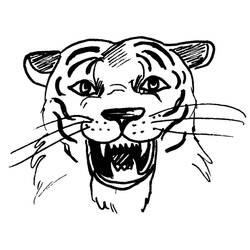 Dessin à colorier: Tigre (Animaux) #13716 - Coloriages à Imprimer Gratuits