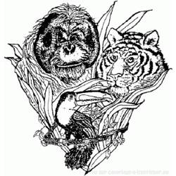 Dessin à colorier: Tigre (Animaux) #13756 - Coloriages à Imprimer Gratuits