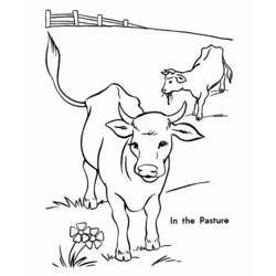 Dessin à colorier: Vache (Animaux) #13229 - Coloriages à Imprimer Gratuits