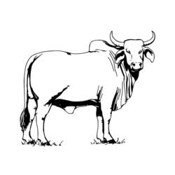 Dessin à colorier: Vache (Animaux) #13260 - Coloriages à Imprimer Gratuits