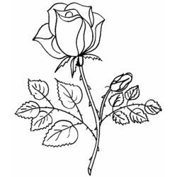 Dessin à colorier: Bouquet de fleurs (Nature) #160736 - Coloriages à Imprimer Gratuits