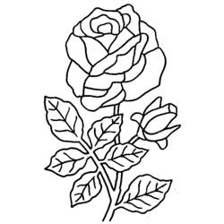 Dessin à colorier: Bouquet de fleurs (Nature) #160738 - Coloriages à Imprimer Gratuits