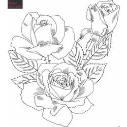 Dessin à colorier: Bouquet de fleurs (Nature) #160739 - Coloriages à Imprimer Gratuits