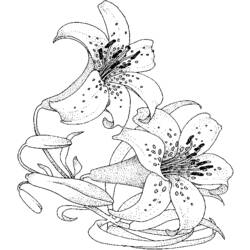 Dessin à colorier: Bouquet de fleurs (Nature) #160834 - Coloriages à Imprimer Gratuits