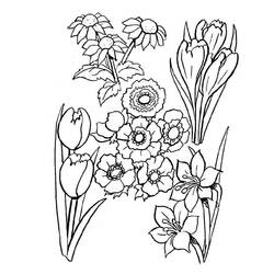 Dessin à colorier: Bouquet de fleurs (Nature) #160855 - Coloriages à Imprimer Gratuits