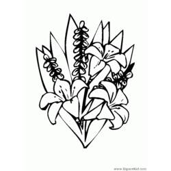 Dessin à colorier: Bouquet de fleurs (Nature) #160891 - Coloriages à Imprimer Gratuits