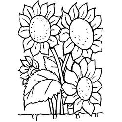 Dessin à colorier: Bouquet de fleurs (Nature) #160964 - Coloriages à Imprimer Gratuits