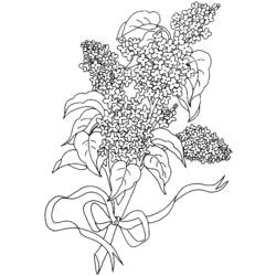 Dessin à colorier: Bouquet de fleurs (Nature) #160994 - Coloriages à Imprimer Gratuits
