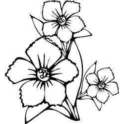 Dessin à colorier: Bouquet de fleurs (Nature) #161003 - Coloriages à Imprimer Gratuits