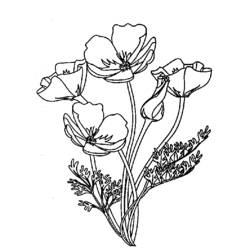 Dessin à colorier: Bouquet de fleurs (Nature) #161045 - Coloriages à Imprimer Gratuits