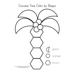 Dessin à colorier: Cocotier (Nature) #162374 - Coloriages à Imprimer Gratuits