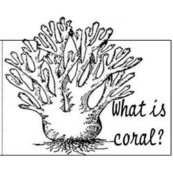 Dessin à colorier: Corail (Nature) #162907 - Coloriages à Imprimer Gratuits