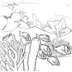 Dessin à colorier: Corail (Nature) #162958 - Coloriages à Imprimer Gratuits