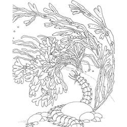Dessin à colorier: Corail (Nature) #162973 - Coloriages à Imprimer Gratuits