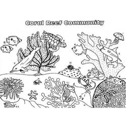 Dessin à colorier: Corail (Nature) #163000 - Coloriages à Imprimer Gratuits
