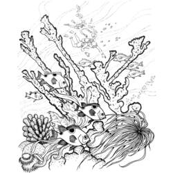 Dessin à colorier: Corail (Nature) #163012 - Coloriages à Imprimer Gratuits