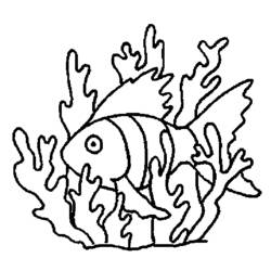 Dessin à colorier: Corail (Nature) #163133 - Coloriages à Imprimer Gratuits