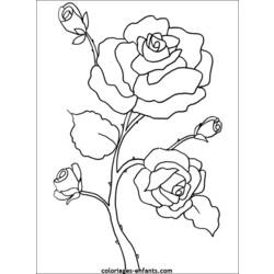 Dessin à colorier: Fleurs (Nature) #154967 - Coloriages à Imprimer Gratuits