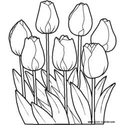 Dessin à colorier: Fleurs (Nature) #154985 - Coloriages à Imprimer Gratuits